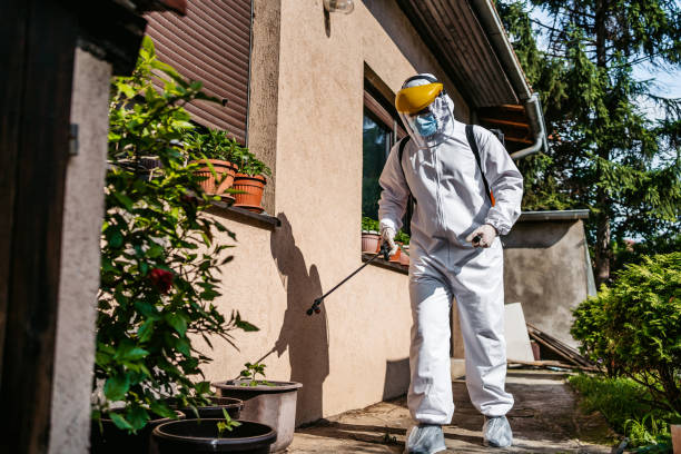 Best Mosquito Control Services  in Springhill, LA