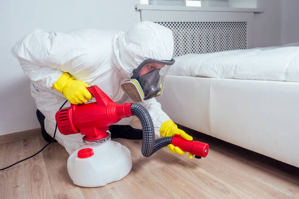 Wasp Removal Services in Springhill, LA