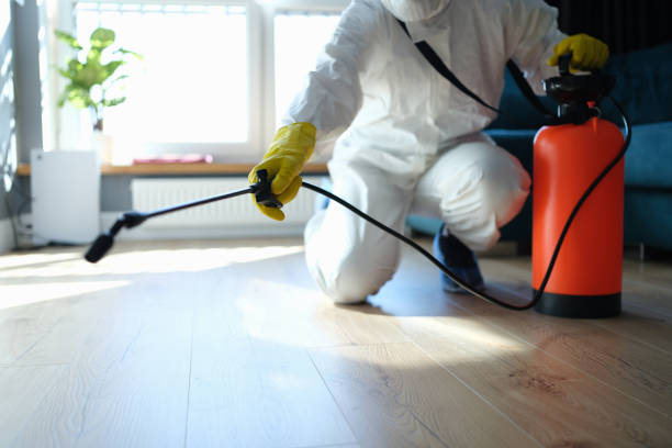 Best Cockroach Control Services  in Springhill, LA