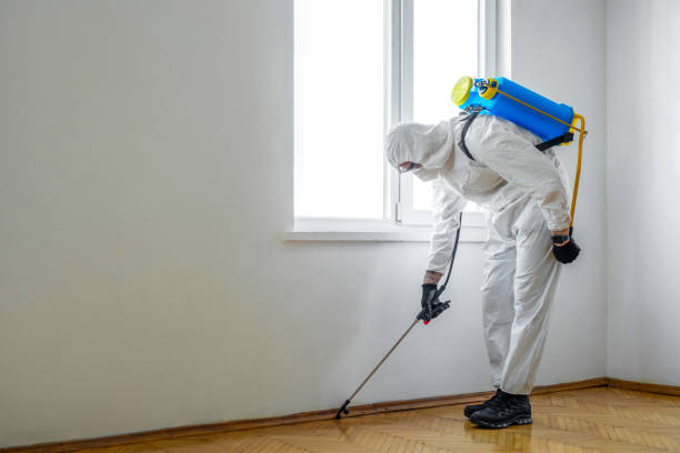 Wildlife Control Services in Springhill, LA
