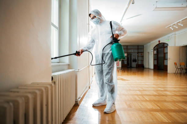 Best Affordable Pest Control Services  in Springhill, LA