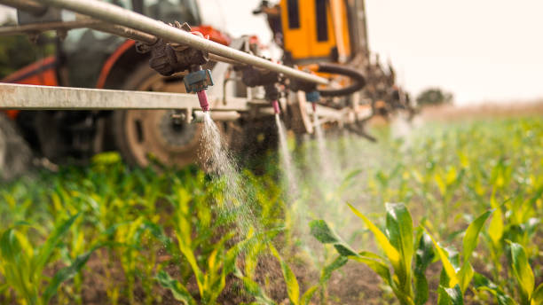 Best Insect Control  in Springhill, LA