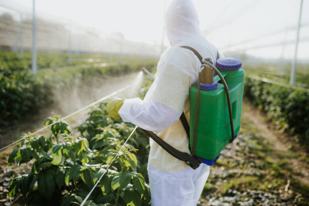 Best Affordable Pest Control Services  in Springhill, LA